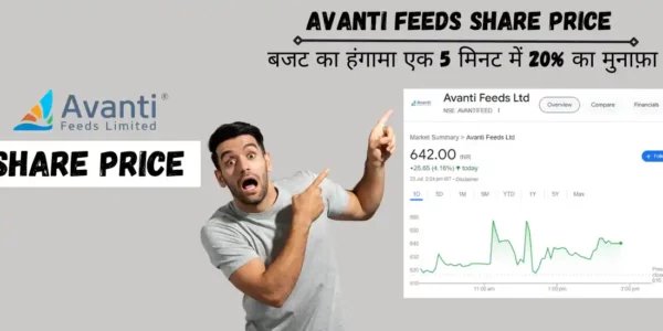 avanti feeds share price