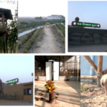 Gujarat’s First Urban Forest Takes Shape on Dumas Beach, Bringing Nature Closer to Surat