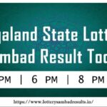 Nagaland State Lottery Offers Daily Jackpots of ₹1 Crore – Draws at 1 PM, 6 PM, and 8 PM