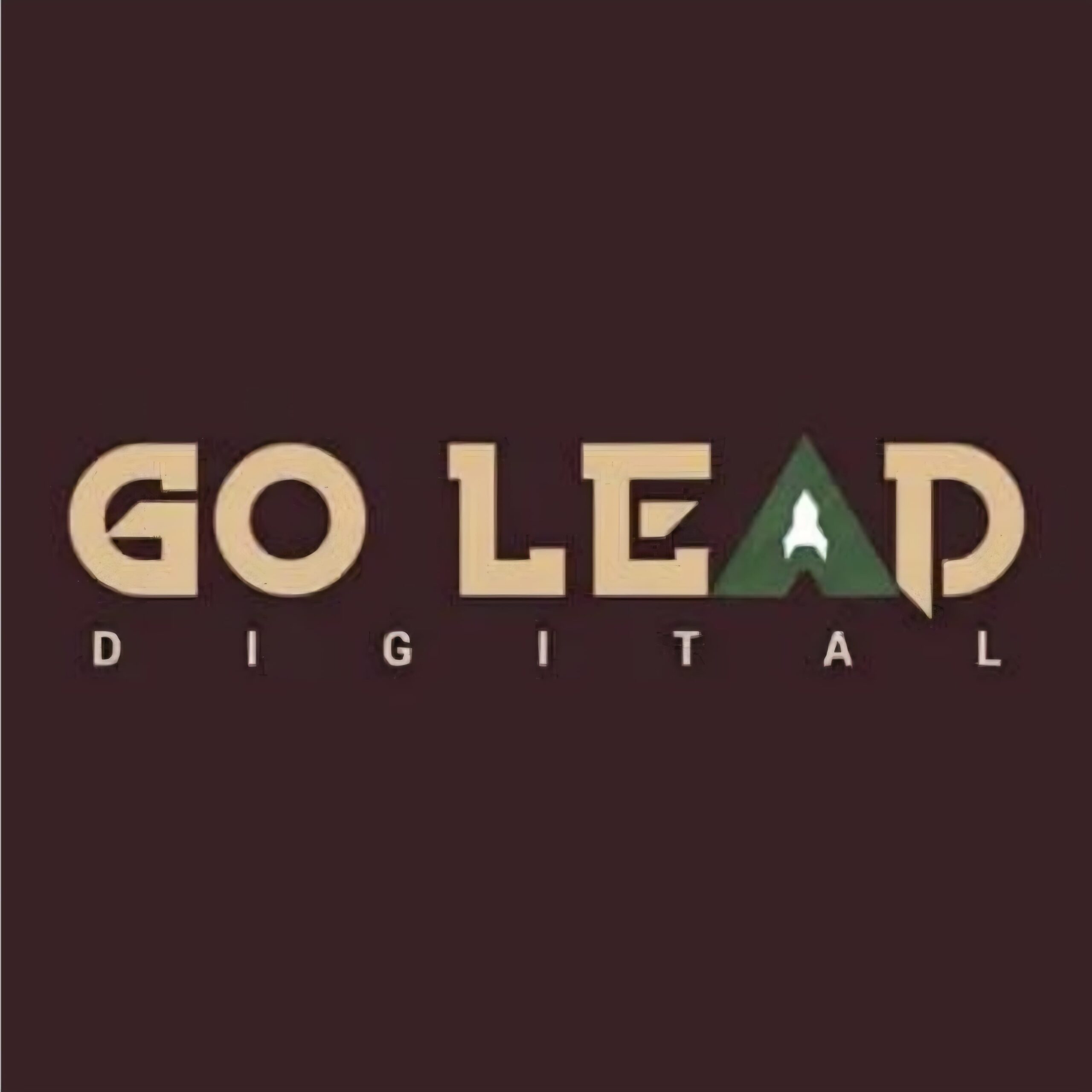  Go Lead Digital